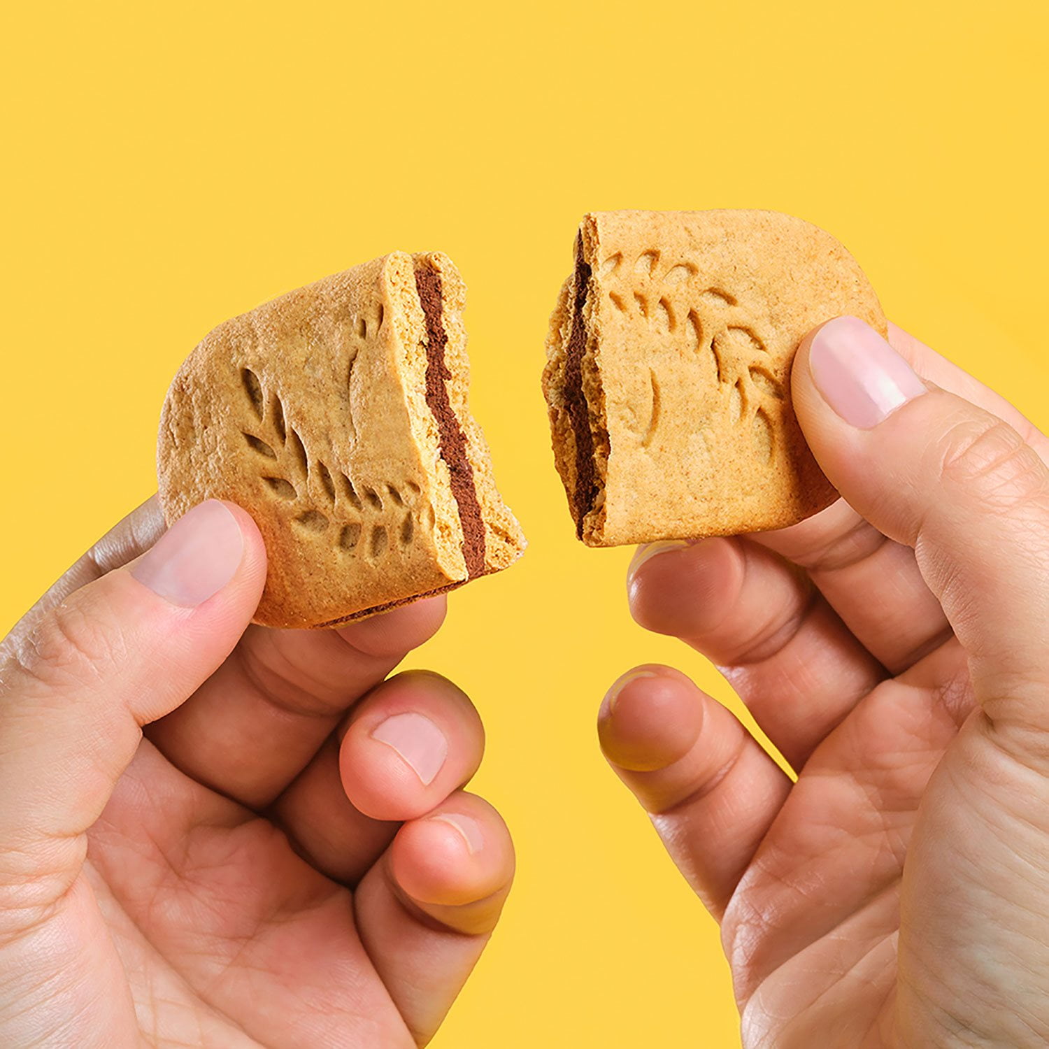 belVita Dark Chocolate Creme Breakfast Biscuits 25 pk. - Image 8