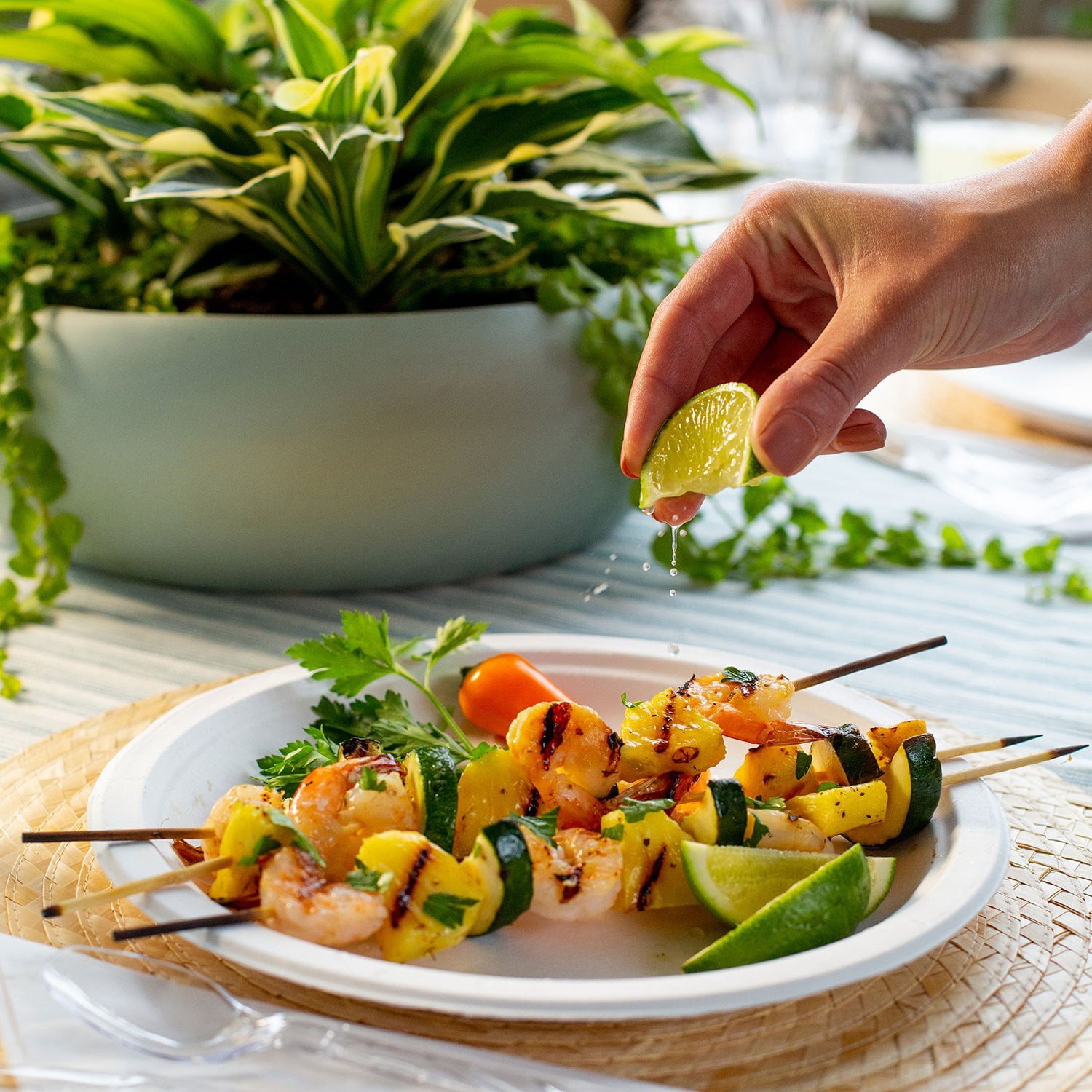 Chinet Classic Dinner Paper Plates, 10.375", 165 ct. - Image 3