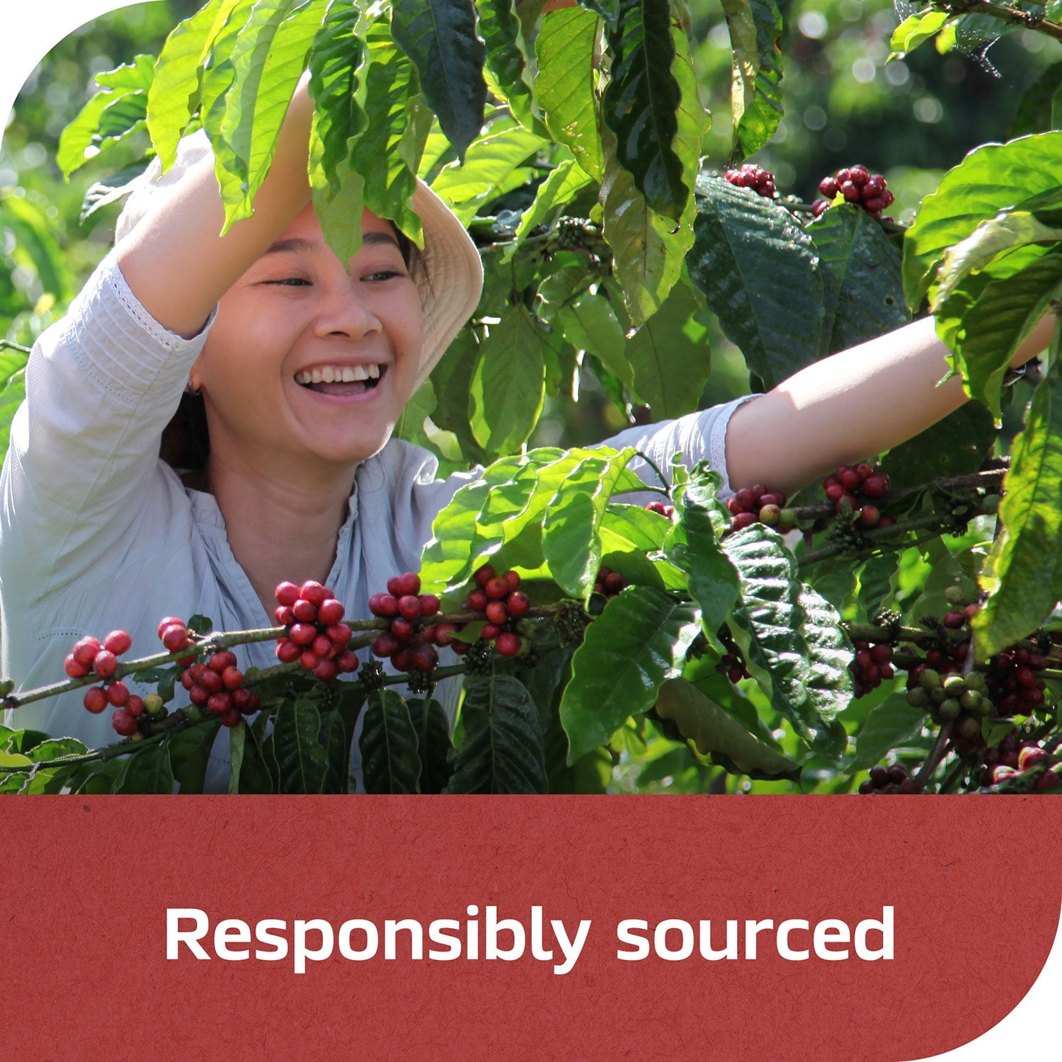 Nescafé Clasico Dark Roast Instant Coffee, 21 oz. - Image 8