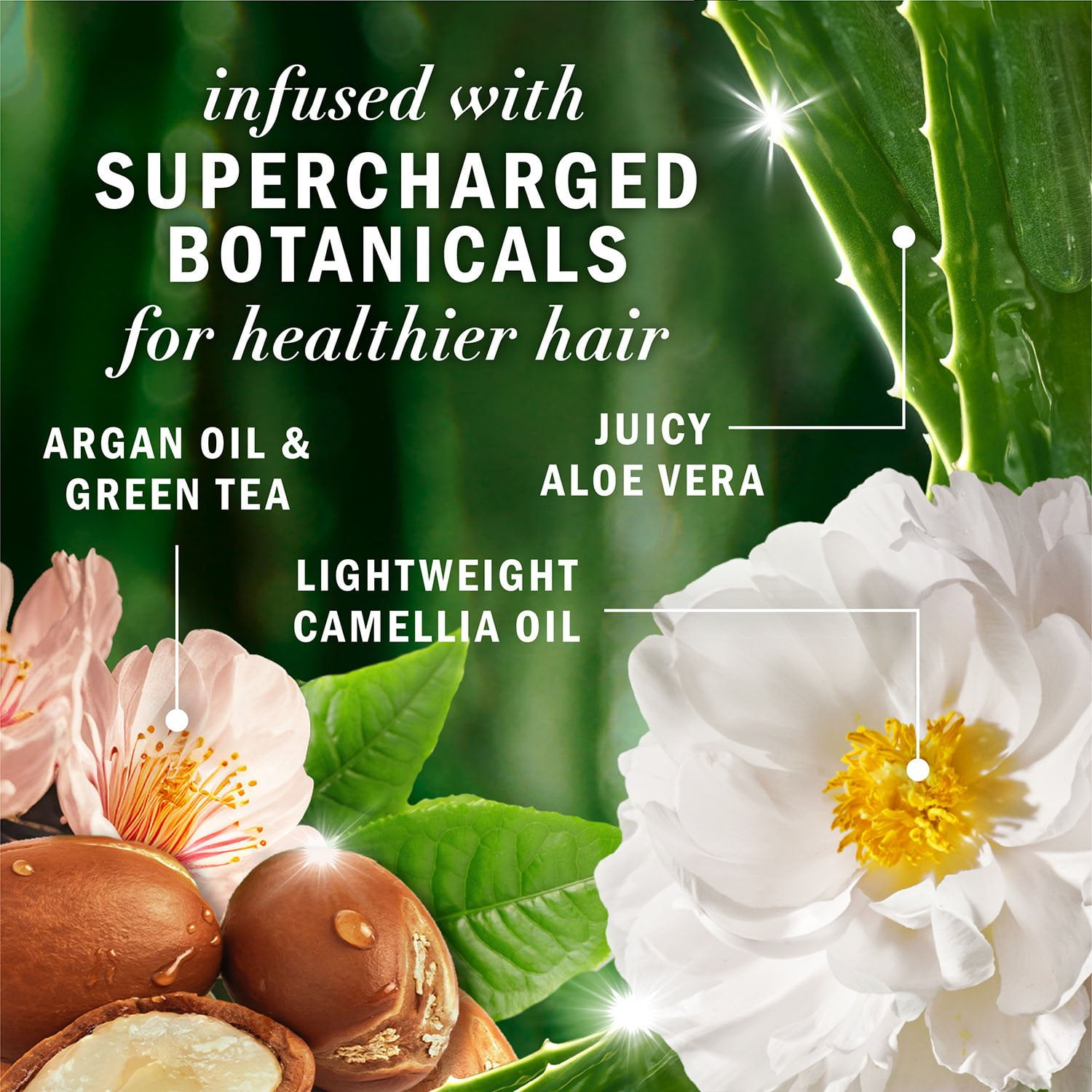 Herbal Essences Argan Oil & Green Tea Shampoo, 33.8 fl. oz. - Image 3