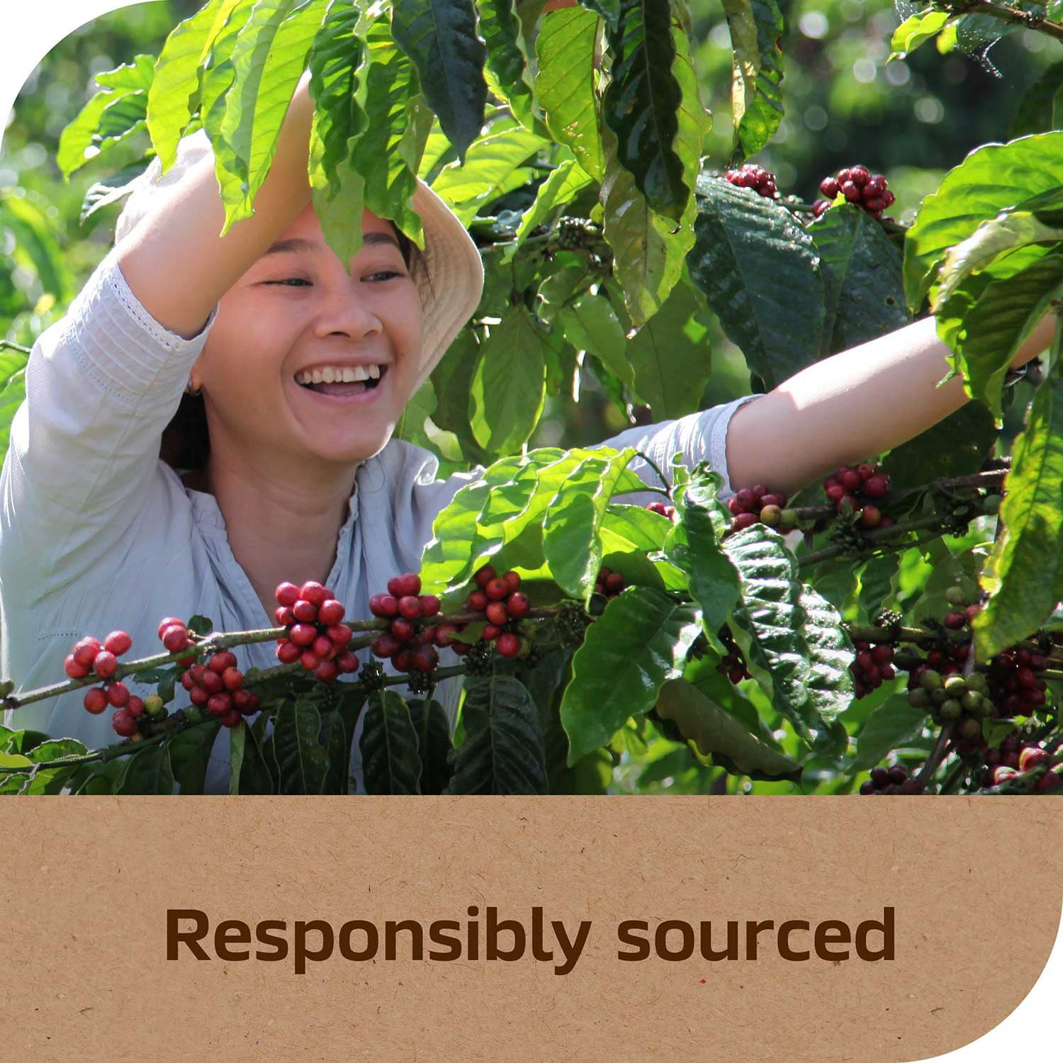 Nescafé Taster's Choice House Blend Light-Medium Instant Coffee, 14 oz. - Image 8