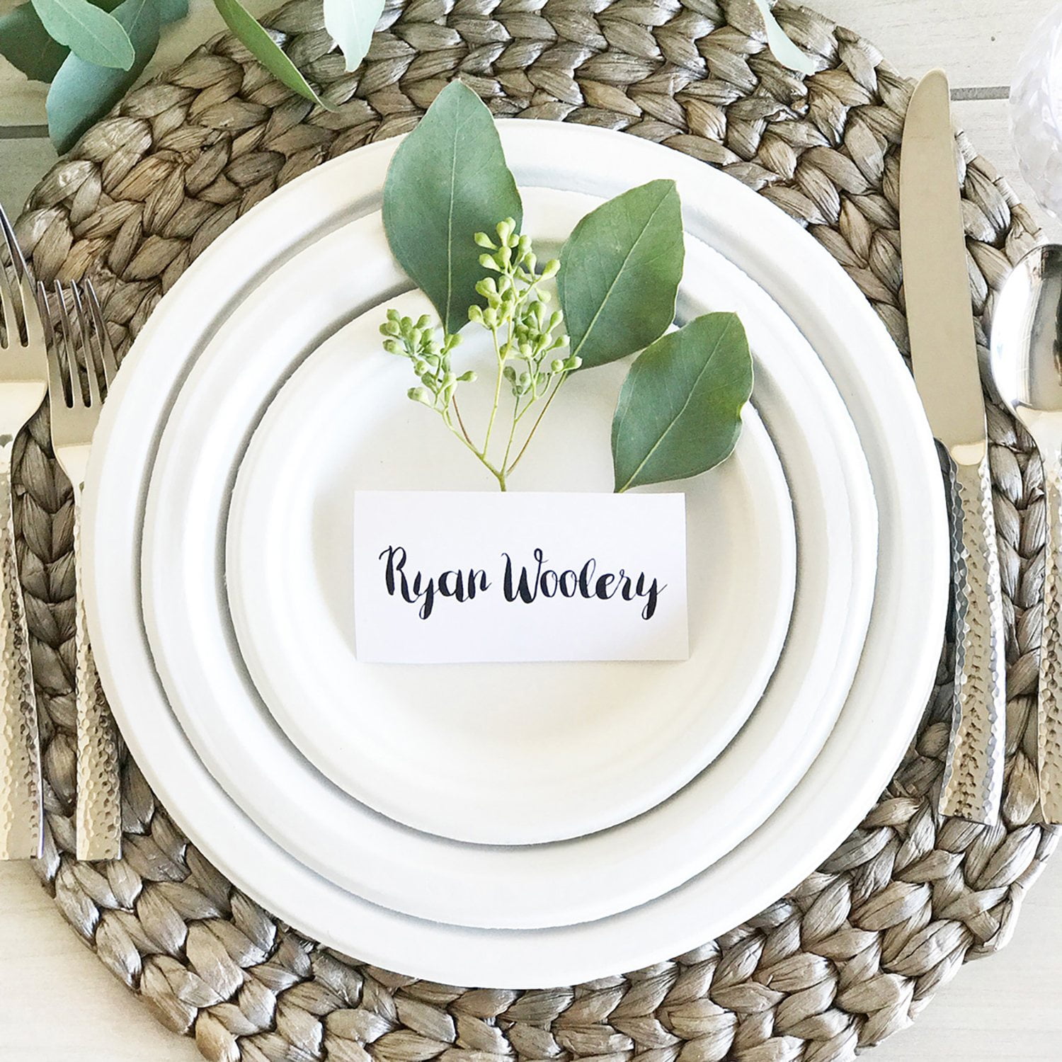 Chinet Classic Dinner Paper Plates, 10.375", 165 ct. - Image 9