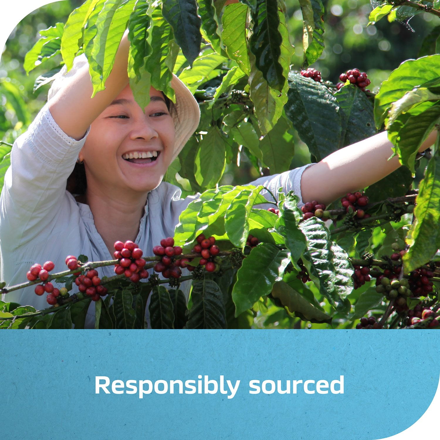 Nescafé Ice Roast Instant Coffee, 6 oz., 3 pk. - Image 8