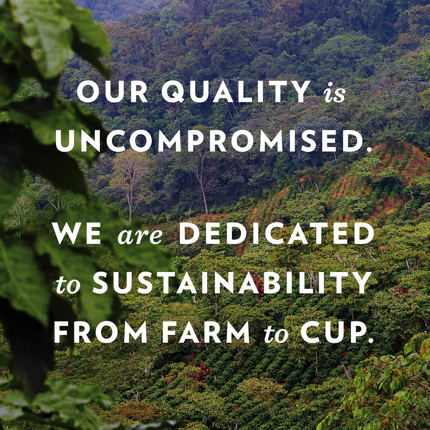 Community Coffee Dark and Bold Espresso Darkest Roast Coffee Pods, 72 ct. - Image 7